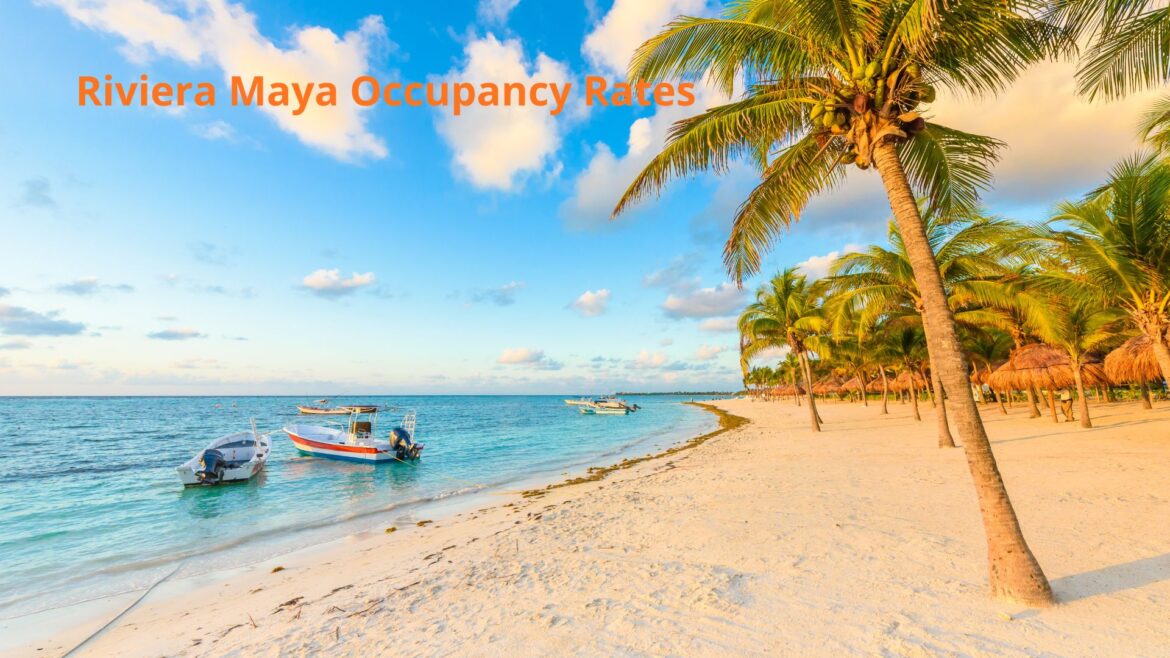 Riviera Maya Occupancy Rates Seasonality Guide
